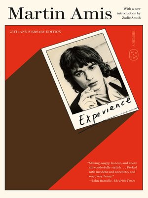 cover image of Experience